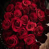 фото Ирина Тисс фото Ирина Тисс
