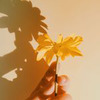 фотография Валерия Евстафьева фотография Валерия Евстафьева