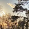 фото Светлана Ушакова фото Светлана Ушакова