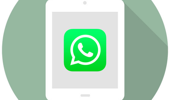 Расшифровка сообний в WhatsApp