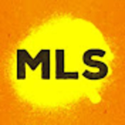 Популярный блогер - MLS Production